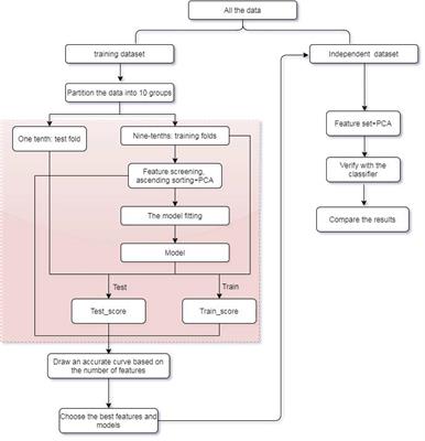 A Novel XGBoost Method to Identify Cancer Tissue-of-Origin Based on Copy Number Variations